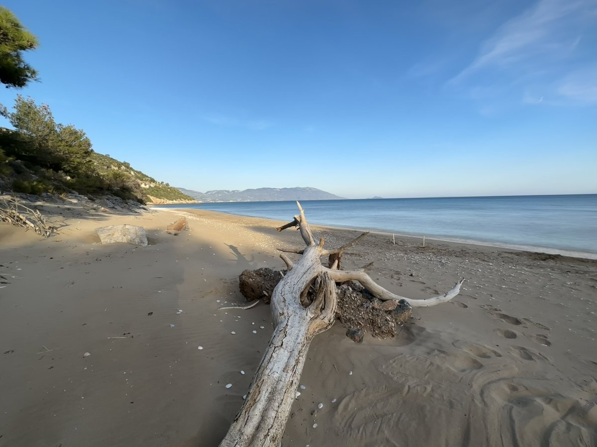 HotelSofia's tweet photo. Spring photography of #samos #springtime #beach #Greece https://t.co/qseX6mbWtF