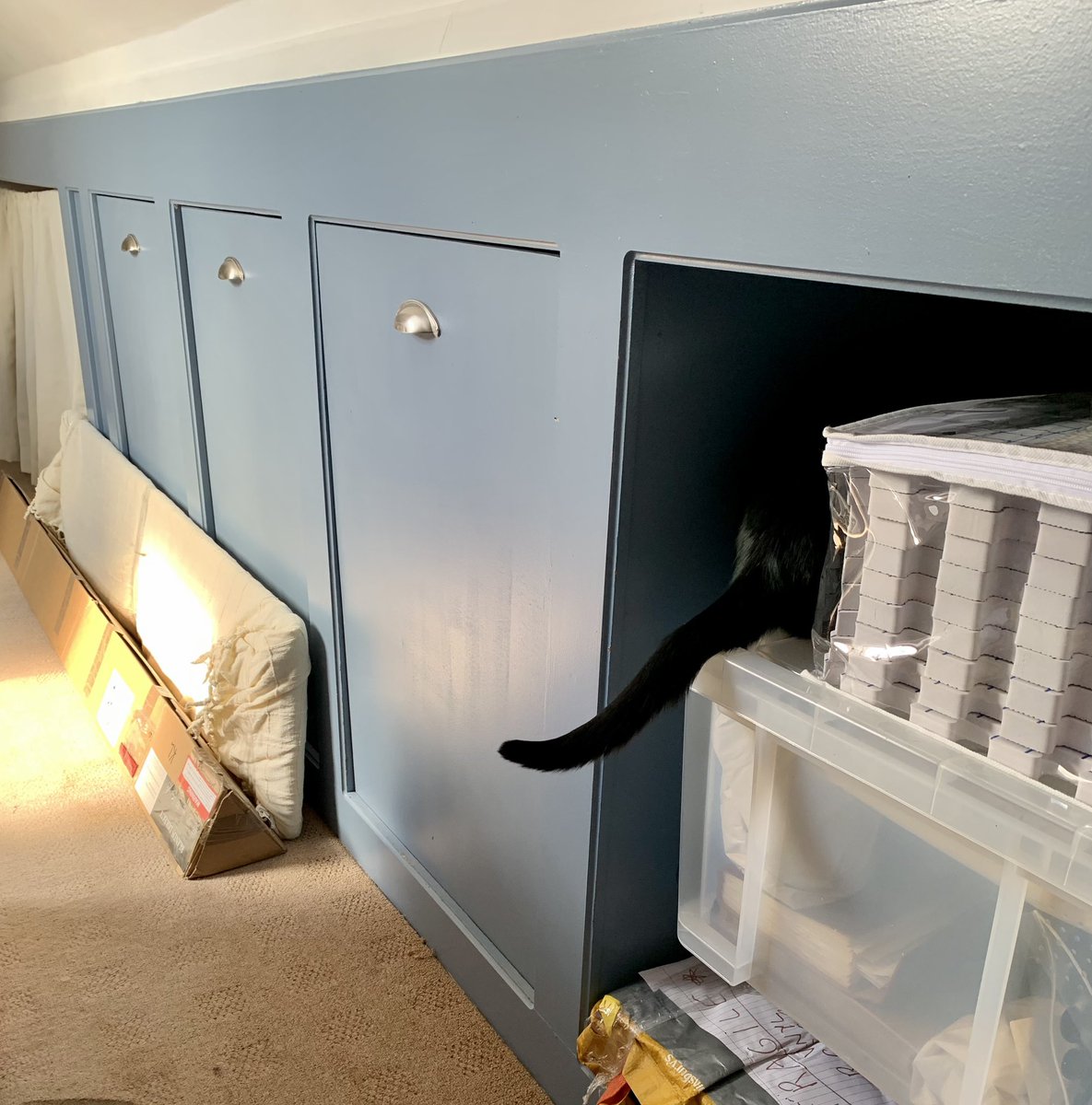 She's sorting out the eaves in the loft and I'm getting in the way.
Every sigh is a victory.