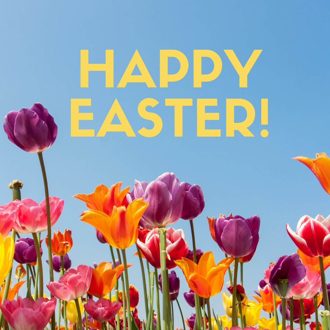 Wishing everyone a very Happy Easter.
What a beautiful day!
We're so grateful for your continued support.
#HappyEaster #thankyou #Spring