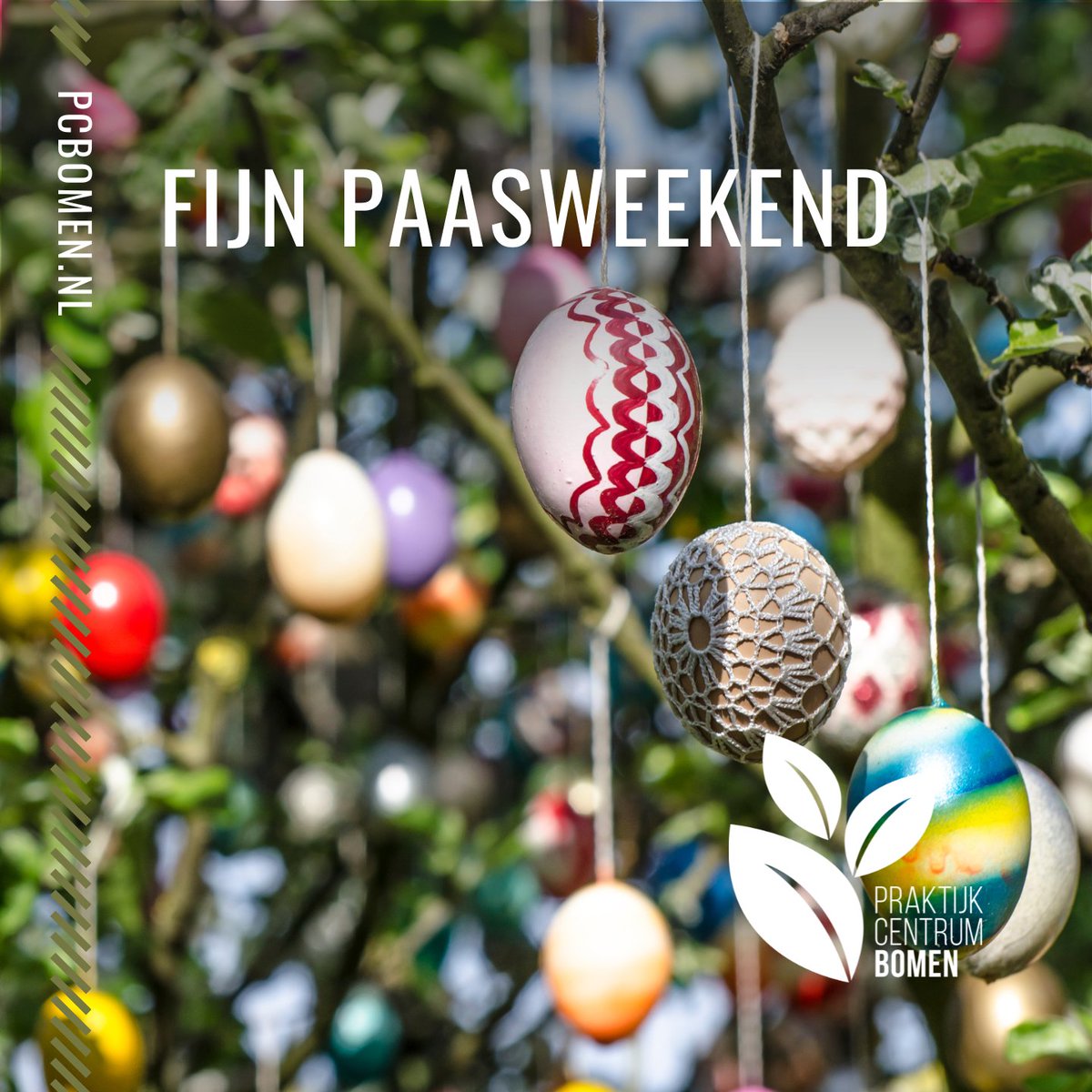 Wij wensen je een 𝗳𝗶𝗷𝗻 𝗽𝗮𝗮𝘀𝘄𝗲𝗲𝗸𝗲𝗻𝗱. 🐇

Heb je nog leuke activiteiten of plannen in de agenda staan? Laat het ons weten via de comments.

Geniet in ieder geval lekker van het lente weer. 🙌