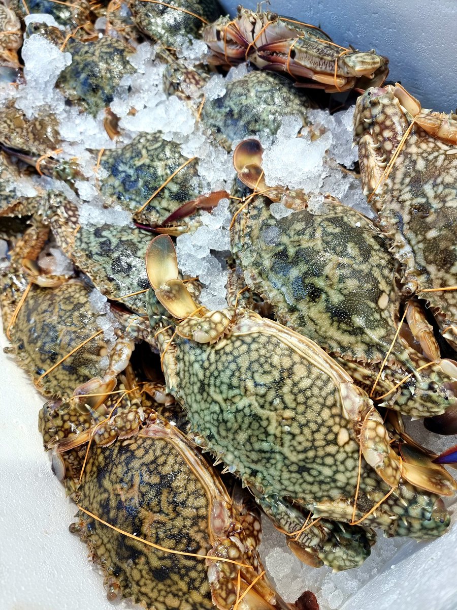 Ramsdens tweet media