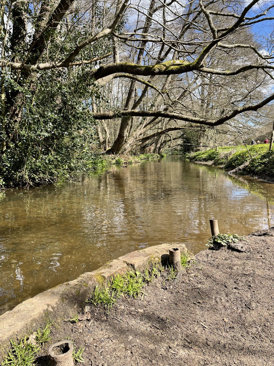 springer_girl77's tweet image. A short walk in the beautiful Surrey Hills. @SurreyHillsAONB @surreylive @Above_Surrey #nature #springwalks #surrey