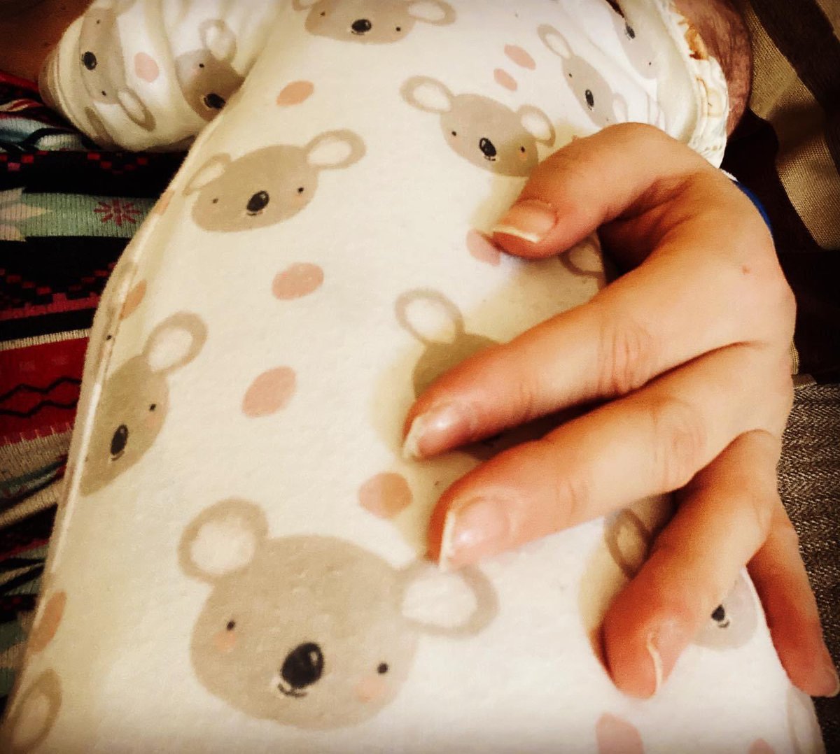 KayleighFawcett's tweet photo. Koala 🐨 pyjamas are about as wild as my life gets right now…but I’m planning to change that despite obvious challenges 🧷
Watch this space for wildlife adventures coming soon 👀
#mywildlife #wildlifeguardian #batdetective #wildlifeadventures https://t.co/aQ7blWV4WK