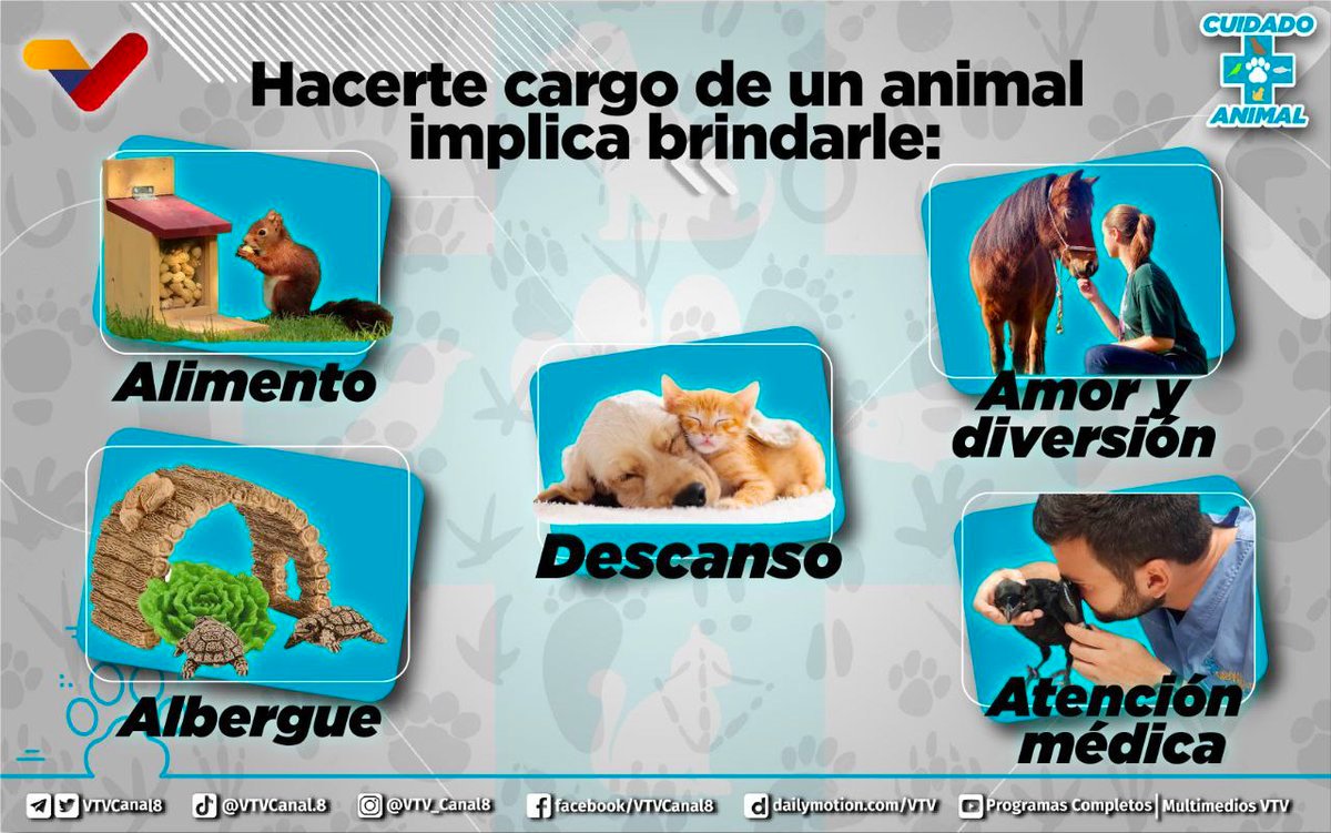 #NoAlMaltratoAnimal🐾| Ser responsable de un animal conlleva un compromiso que debes conocer, es preciso que tomes en cuenta poder ofrecerle: Buena alimentación 🍗 Descanso 💤 Atención médica 💉💊 Albergue 🏡 Y sobre todo, amor y diversión 💕 #EnDefensaDelEsequibo