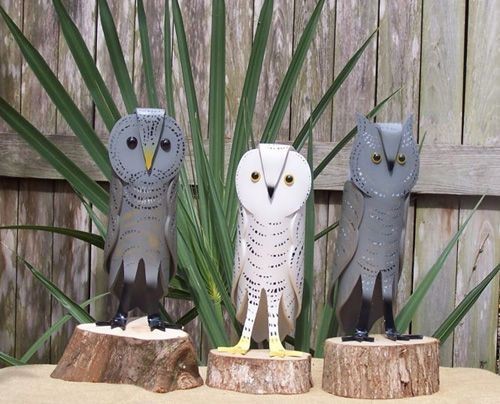 raskolnik68's tweet photo. #ViernesDePajaritos ¡Pasen un excelente viernes, colegas! Aquí seguimos, contra todo, y a pesar de todo!
#Aves #decorativas creadas con #PVC obra de los artistas #NelsonAndLornaForest via #Pinterest #reciclaje #recycling #plastics https://t.co/Vz2uUCeLre
