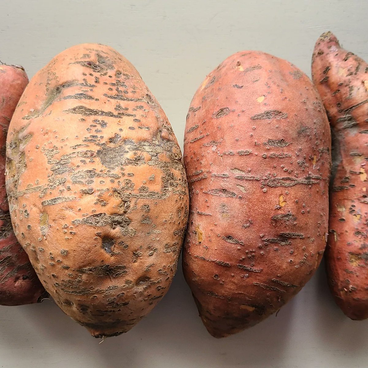 pfenningsfarm's tweet image. Spring is a wonderful thing!  

For April&apos;s #FindLocalFriday, most of the Ontario-grown food you can find at this time of year are storage crops or grown indoors. We&apos;re grateful to have access to these veggies while we patiently wait for better weather.  

Check it out! 

#FLF