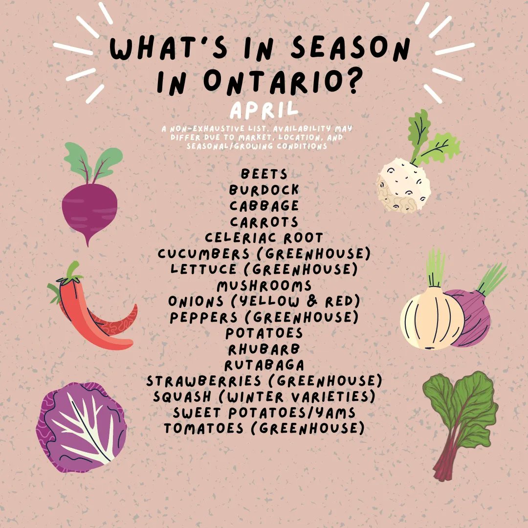 pfenningsfarm's tweet image. Spring is a wonderful thing!  

For April&apos;s #FindLocalFriday, most of the Ontario-grown food you can find at this time of year are storage crops or grown indoors. We&apos;re grateful to have access to these veggies while we patiently wait for better weather.  

Check it out! 

#FLF