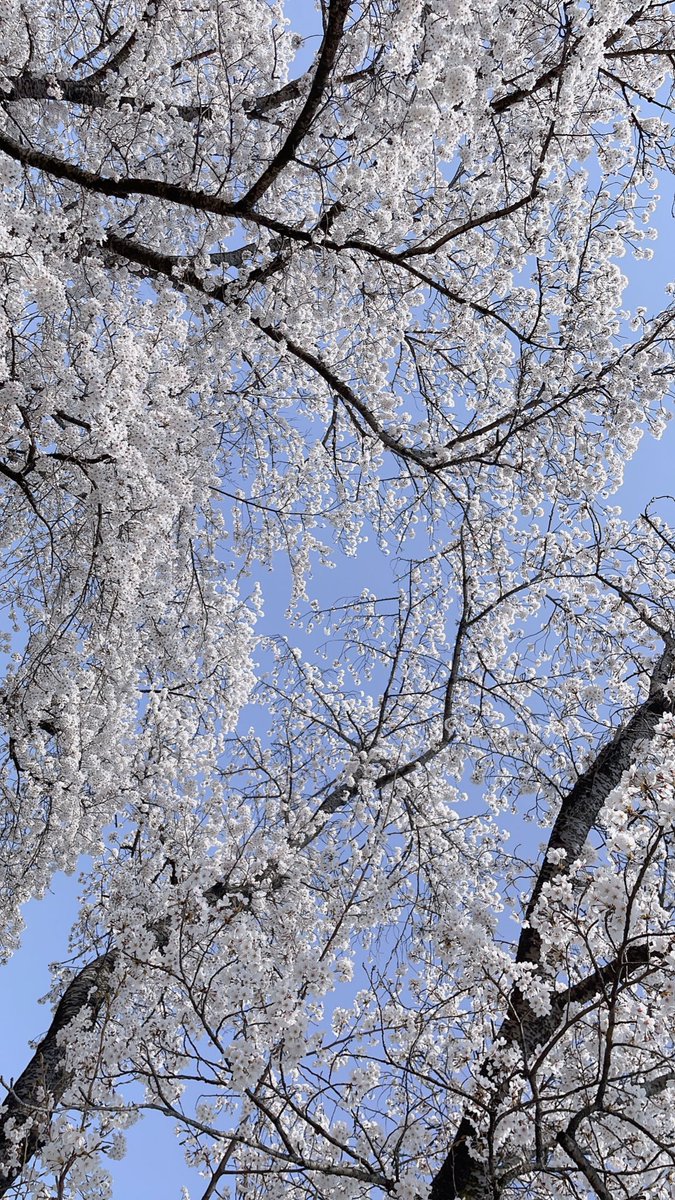 MyrysyM's tweet photo. https://t.co/67TGoBYmQ1