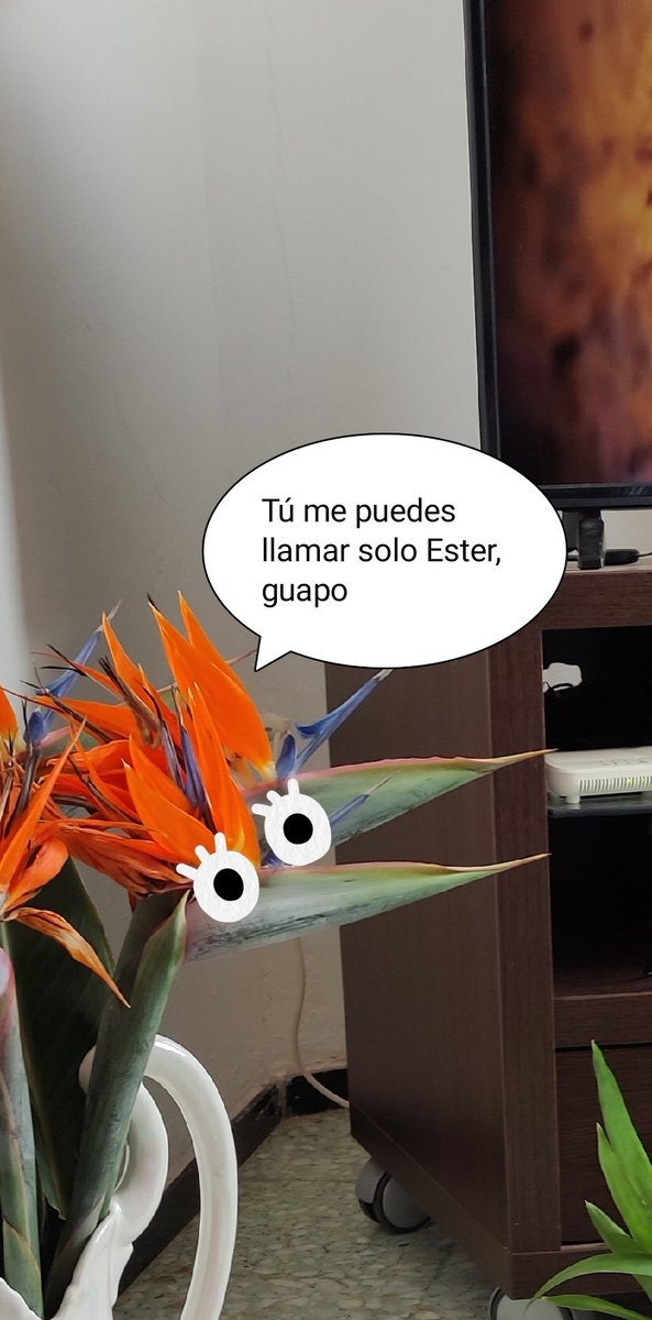 Jonás García Rodríguez (@younagarcia) on Twitter photo 