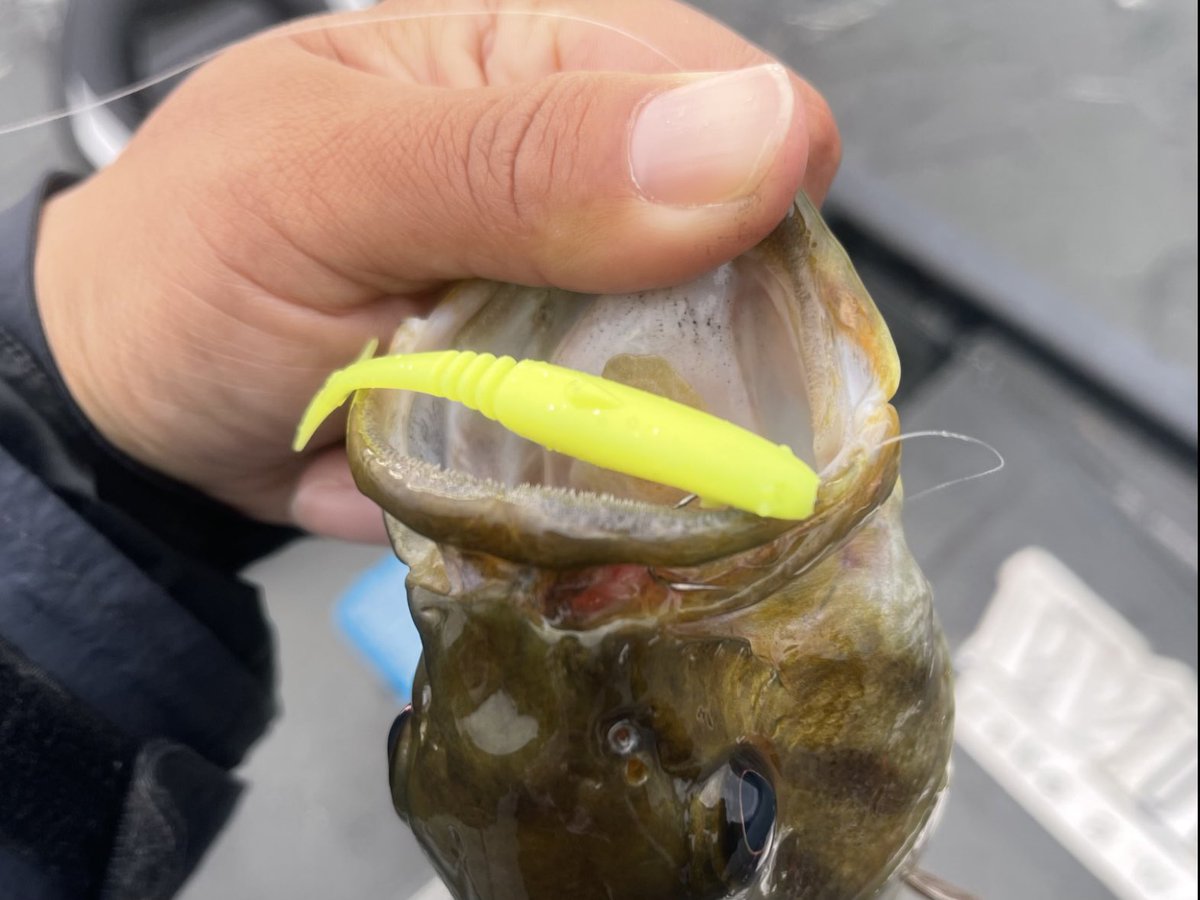 takanashi_0401's tweet image. バーブレスフックに込めている思いは「配慮」。
釣り針という危険物を使う遊びで、時にはそれをフィールドに残してしまう事もあるからこそ、バーブレスフックは自分にとって必要な配慮です。