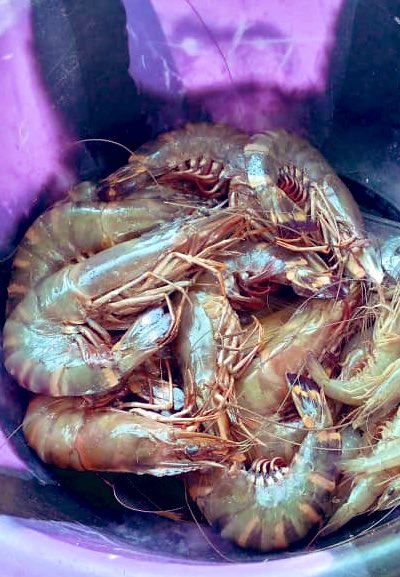 Tiger Shrimps are available, put in your order and we will bring it to your doorstep. 

#SaloneTwitter <a href="/saffajnr/">Saffa Jnr 🇸🇱</a> <a href="/BashiruAlhajik/">Bashiru🇸🇱</a> <a href="/Ibrahimsorie90/">Pa Sorie(王铎)🇸🇱✌️</a> @FreeLurkyMe2 @MEMLAW1 <a href="/julianathambie/">Madam Juliana</a>