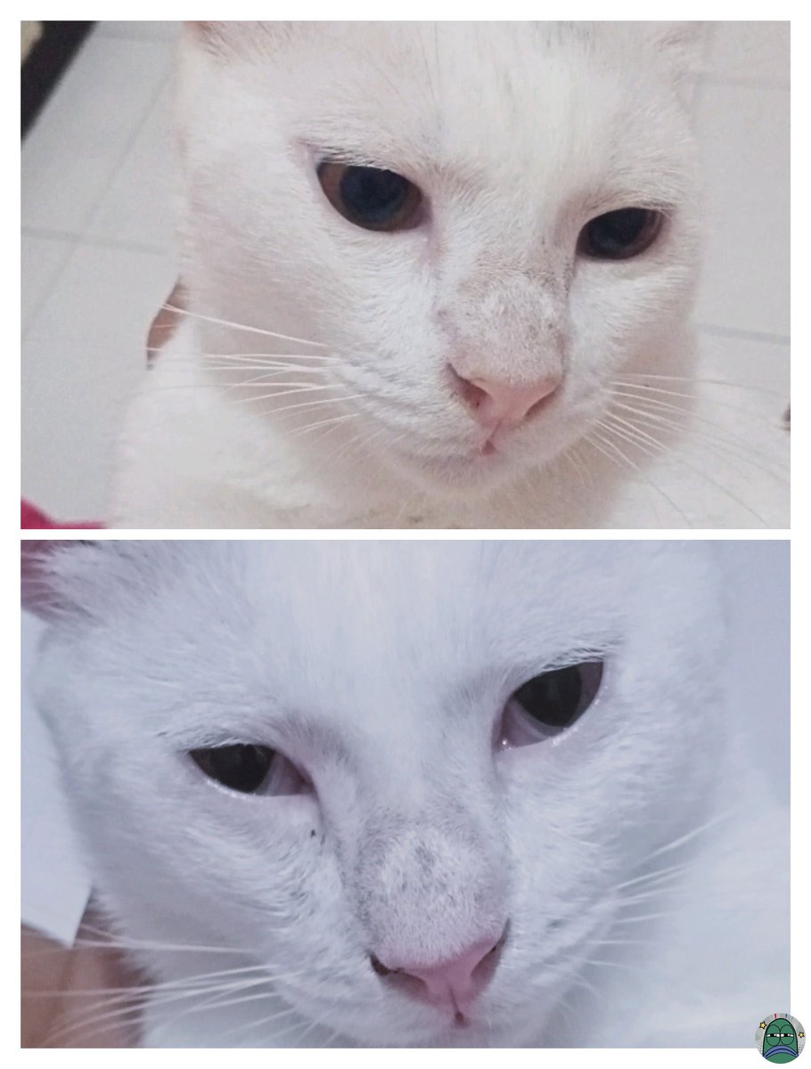 Tanyarlfes tweet media