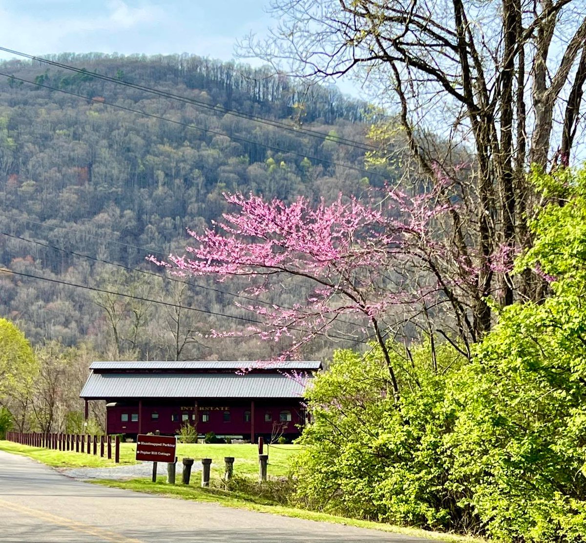 John Schoolcraft snapped this very SPRINGTIME photo of the Historic 101 Train Car over at Southwest Virginia Museum. When is the last time you visited? Come on down and see some of the most amazing artifcacts in VIrginia! 
#BigTimeFunSmallTownPackage
#loveva
#vaoutdoors