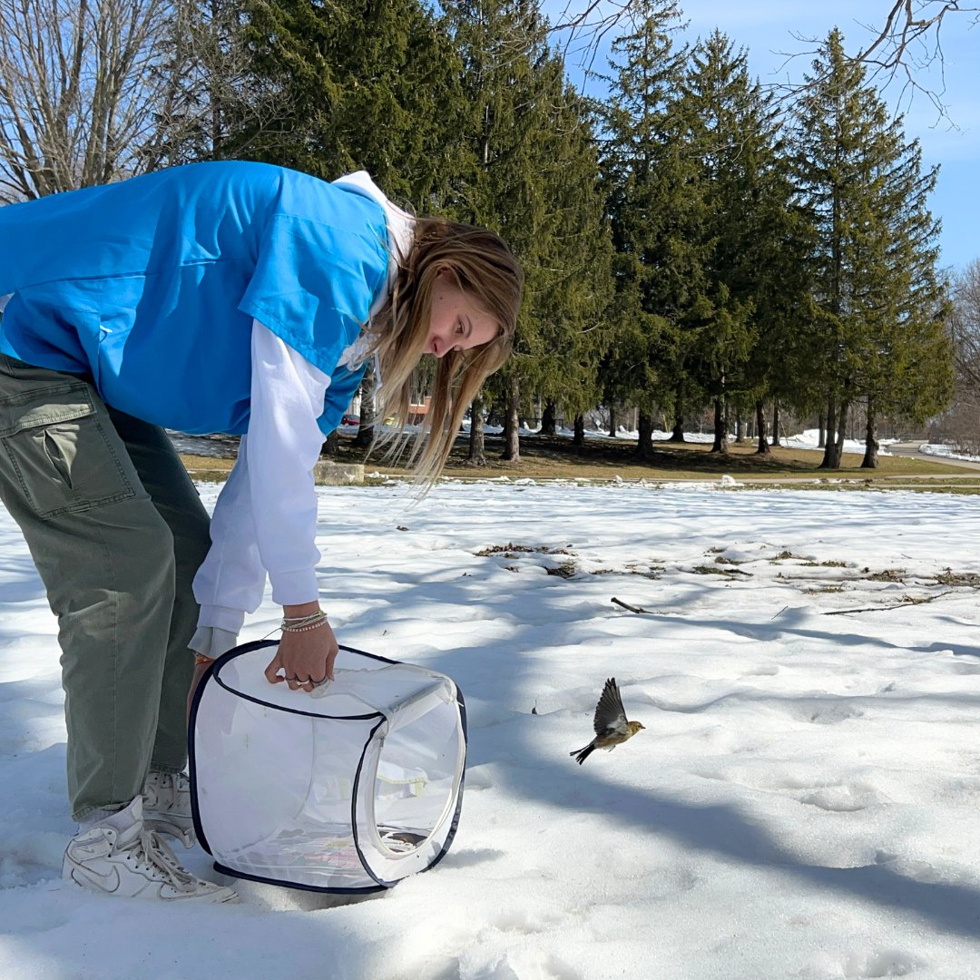 Salthaven Wildlife tweet media