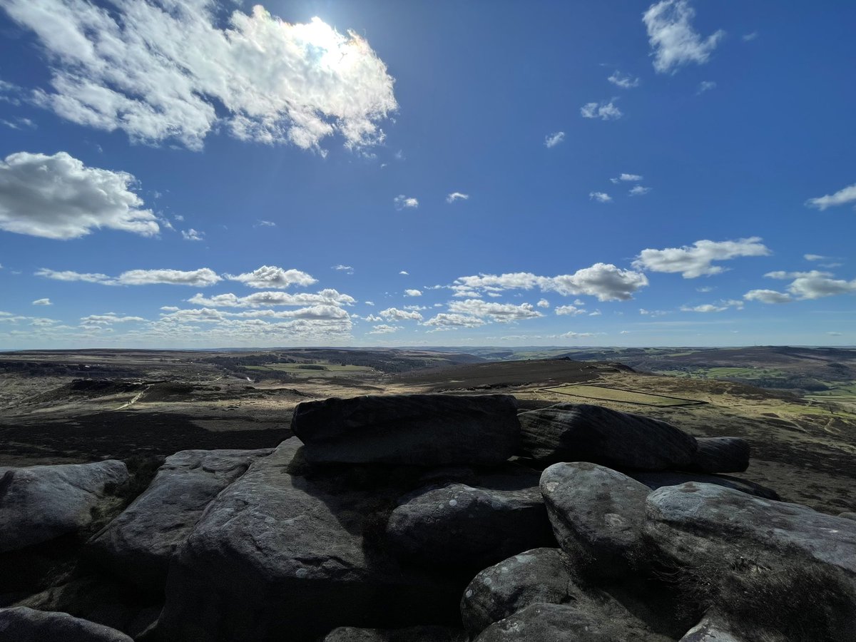 James Scott tweet media