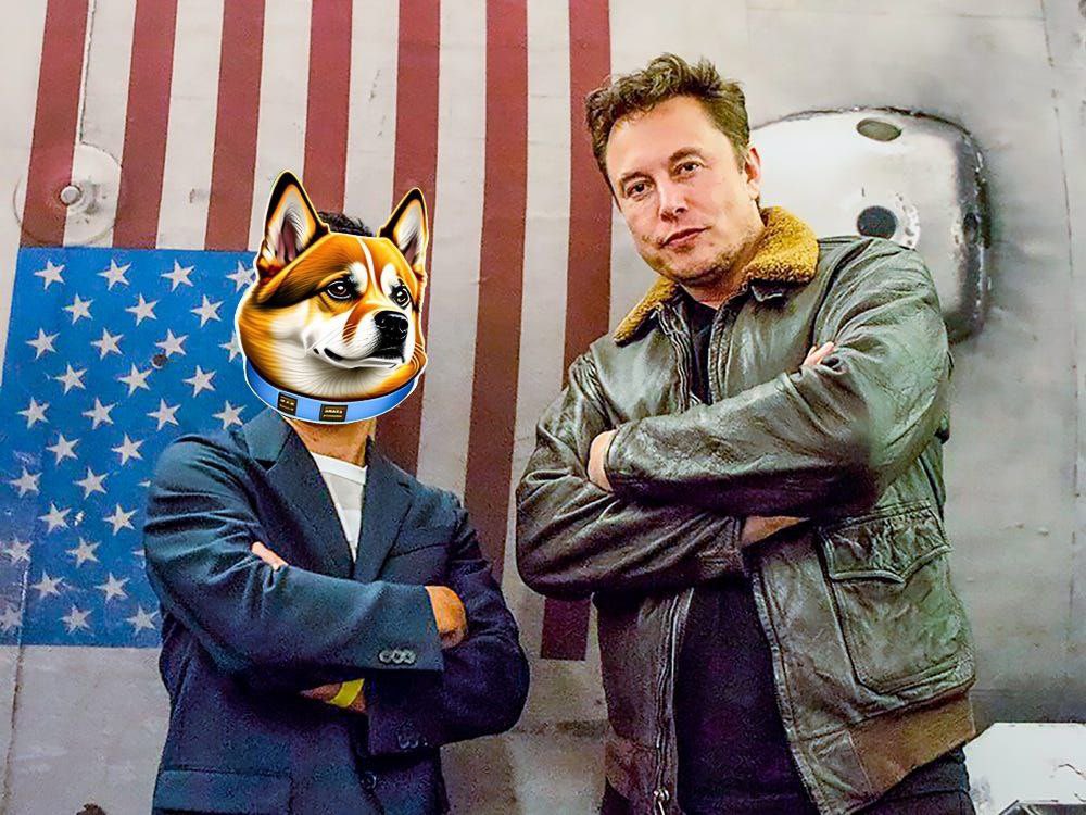 cryptogawd_here's tweet photo. @ProTheDoge @TheDogeCard @McDonalds Don’t forget to get in early and watch @Satellite_Doge1 go to moon literally the @elonmusk #satellitedoge1 mission is real it’s coming  we all happy to be here with bags loaded thank me later giving u this gem #Doge #DOGEARMY @ossygoonrich @1goonrich TG https://t.co/uYSvXJzOeN https://t.co/YH5ddYyckA