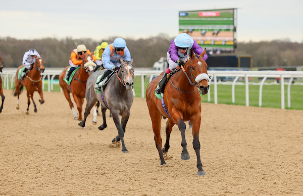 NewcastleRaces's tweet image. RACE 2 RESULT: @talkSPORT  All-Weather 3 Year Old Championships Conditions Stakes 

🥇 Desert Cop
🥈 Shouldvebeenaring
🥉 The Xo 

A Win for #AndrewBalding and @oismurphy

#HorseRacing #Results