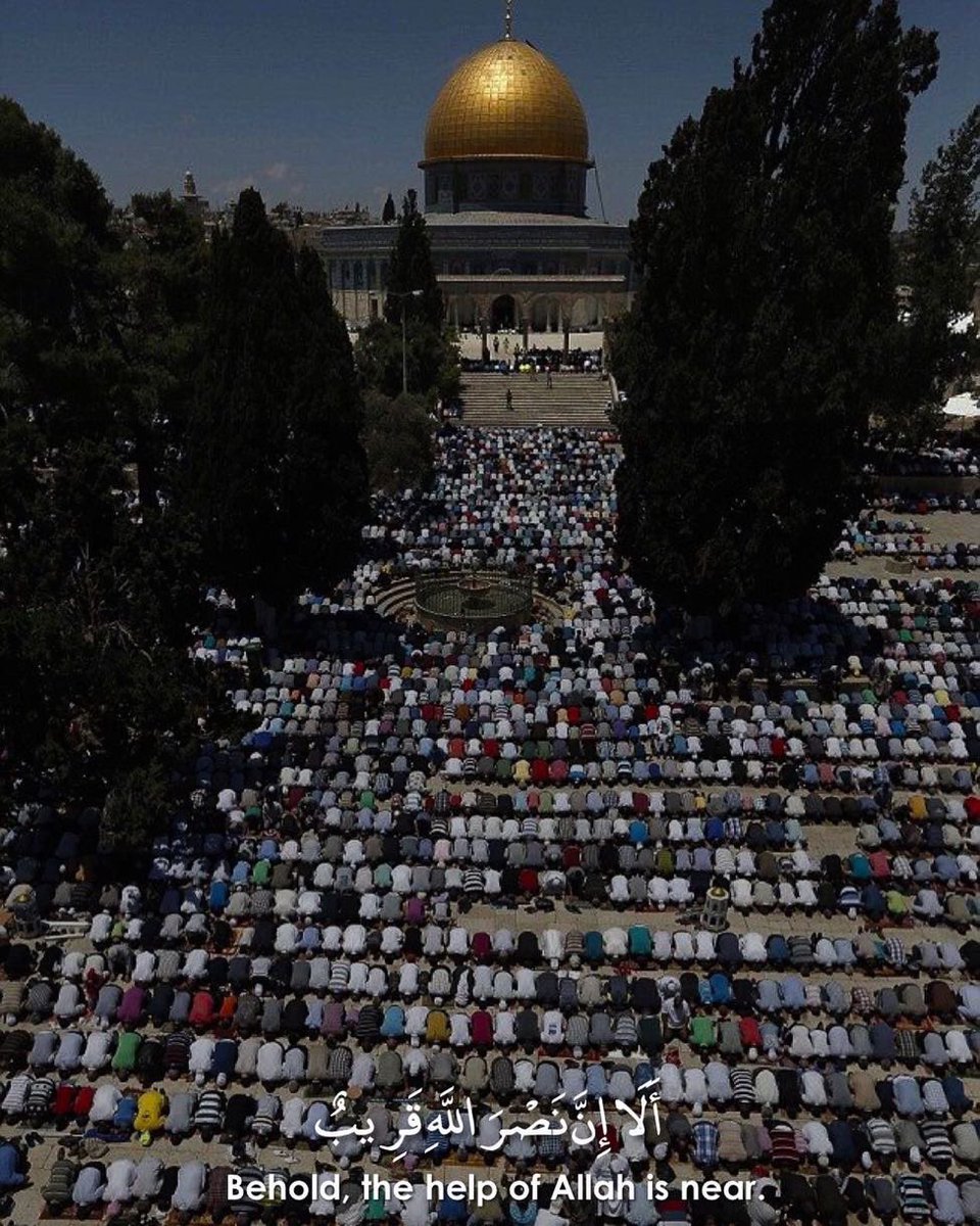 afnan_b6's tweet photo. Free Palestine 🇰🇼🇰🇼🚩 https://t.co/aPI7JnXnm2