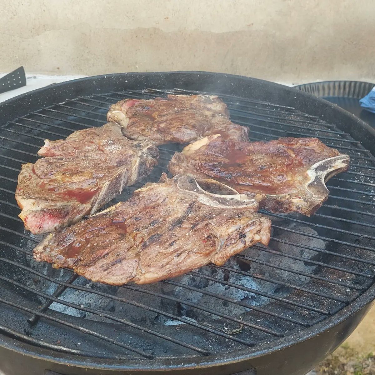 benok1983's tweet photo. #calentada #barbacoa #SemanaSanta https://t.co/GgCfnhFDSI
