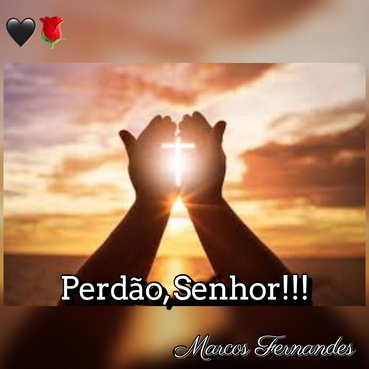 Marcos Fernandes tweet media