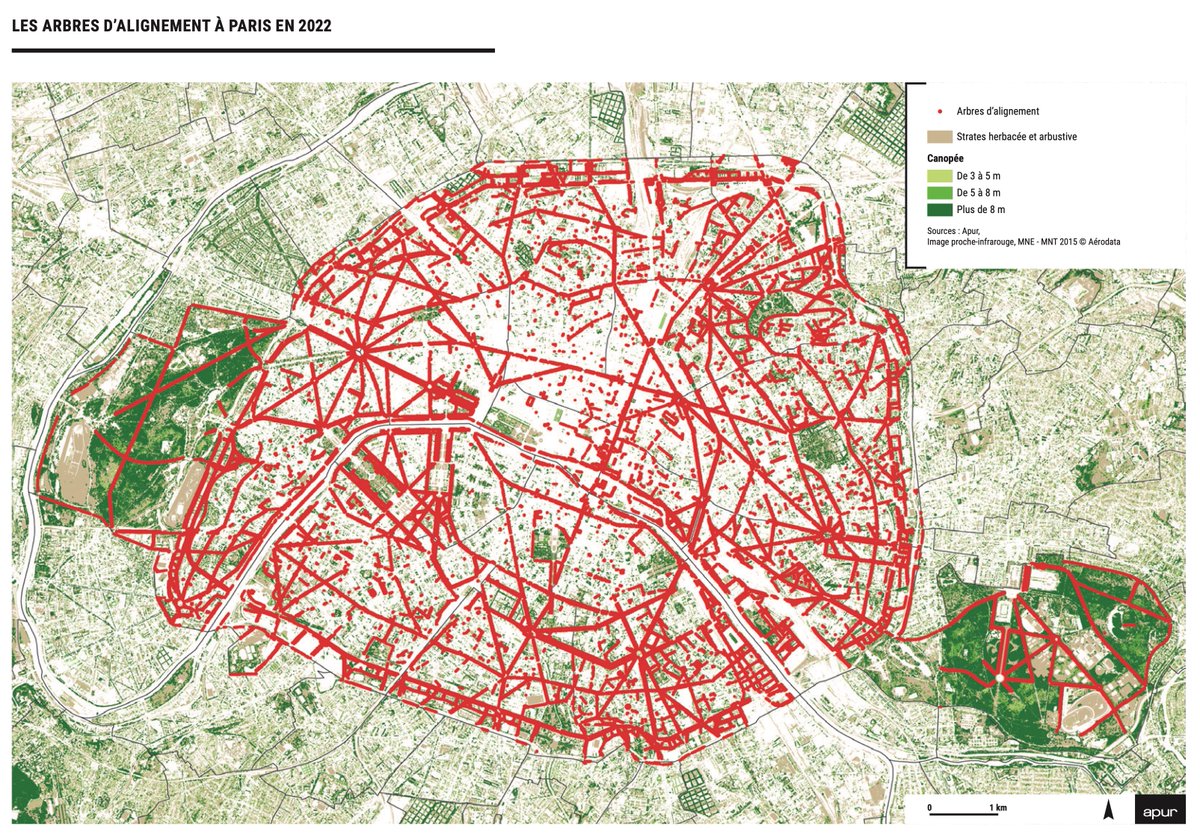 __Apur__'s tweet photo. 🗺️[#cartographie]
📌110 000 arbres d'alignement recensés à Paris en 2022 soit un linéaire d'environ 700 km plantés sur les 1650 voies publiques parisiennes.
La carte👉https://t.co/kYbadNIei8
Et pour en savoir + sur la canopée parisienne, notre étude👉https://t.co/ymFPbmWt8v
#Apur https://t.co/rlTCvAc7e1