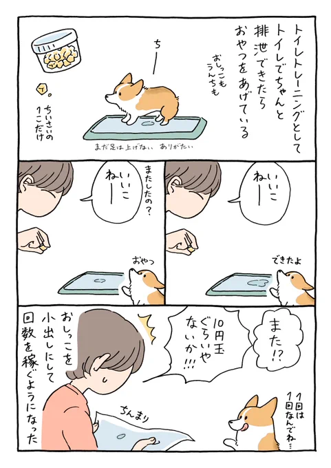 どうにかおやつがほしいぬ 
