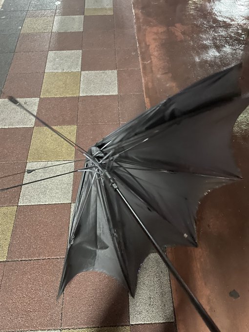 駅から出て2秒で風に傘ぶっ壊された漢。
タクシーだよちくしょー 