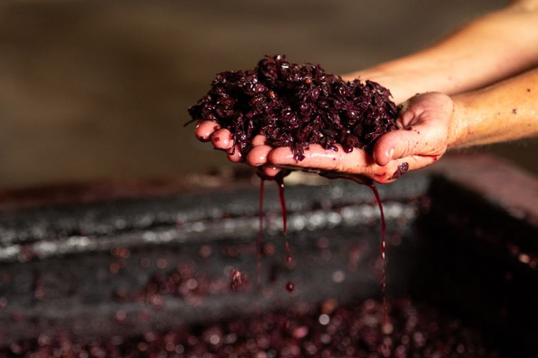 Calancombe Estate (@calancombewines) on Twitter photo Unfortunately, we are losing the lovely Winemaker Ollie soon, and need to recruit a replacement...
Could you be the one to work with our friendly team to craft the style of our wines in Devon??
To apply send a letter and CV to caroline@calancombe-estate.com
#job #winemaker #devon Unfortunately, we are losing the lovely Winemaker Ollie soon, and need to recruit a replacement...
Could you be the one to work with our friendly team to craft the style of our wines in Devon??
To apply send a letter and CV to caroline@calancombe-estate.com
#job #winemaker #devon