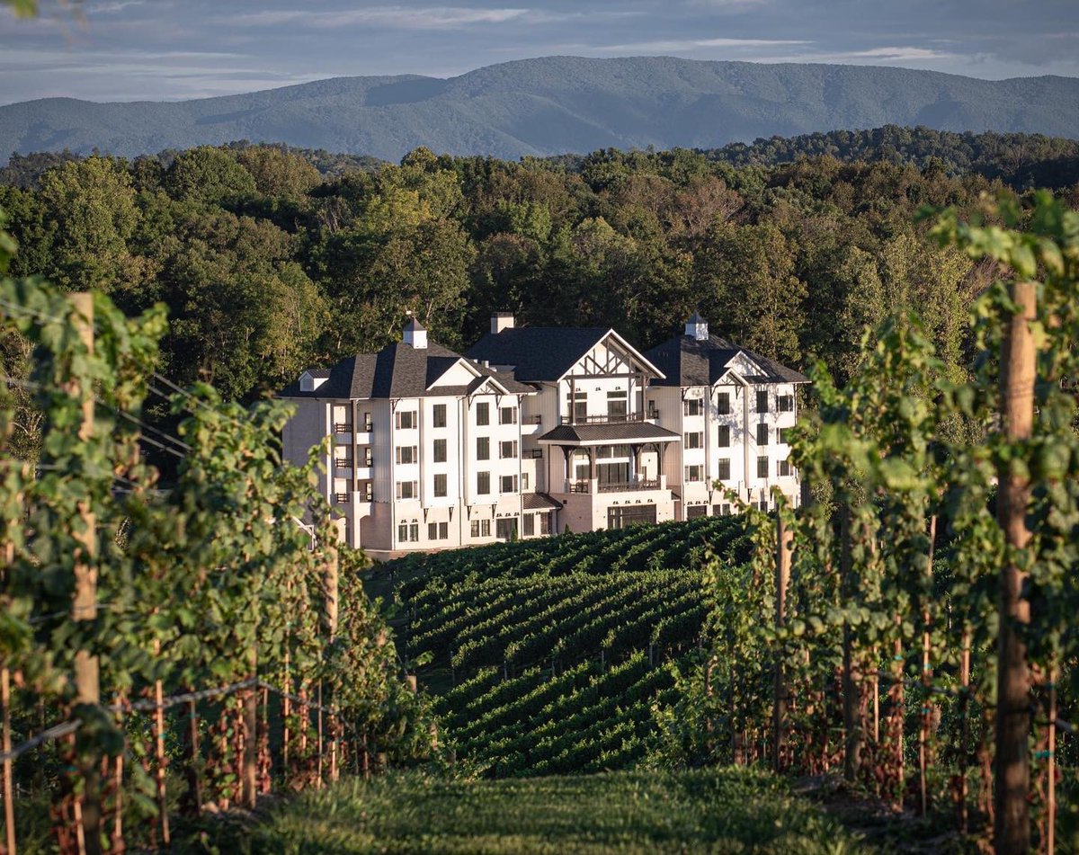 Discover Bristol tweet media