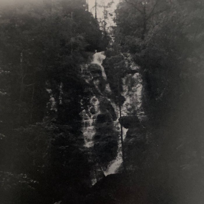 nightosphere tweet media