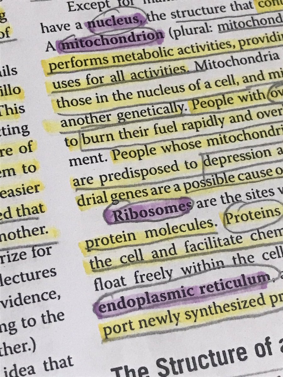 studyjaems's tweet photo. for tonight’s study session https://t.co/5g4ofw5Kyy
