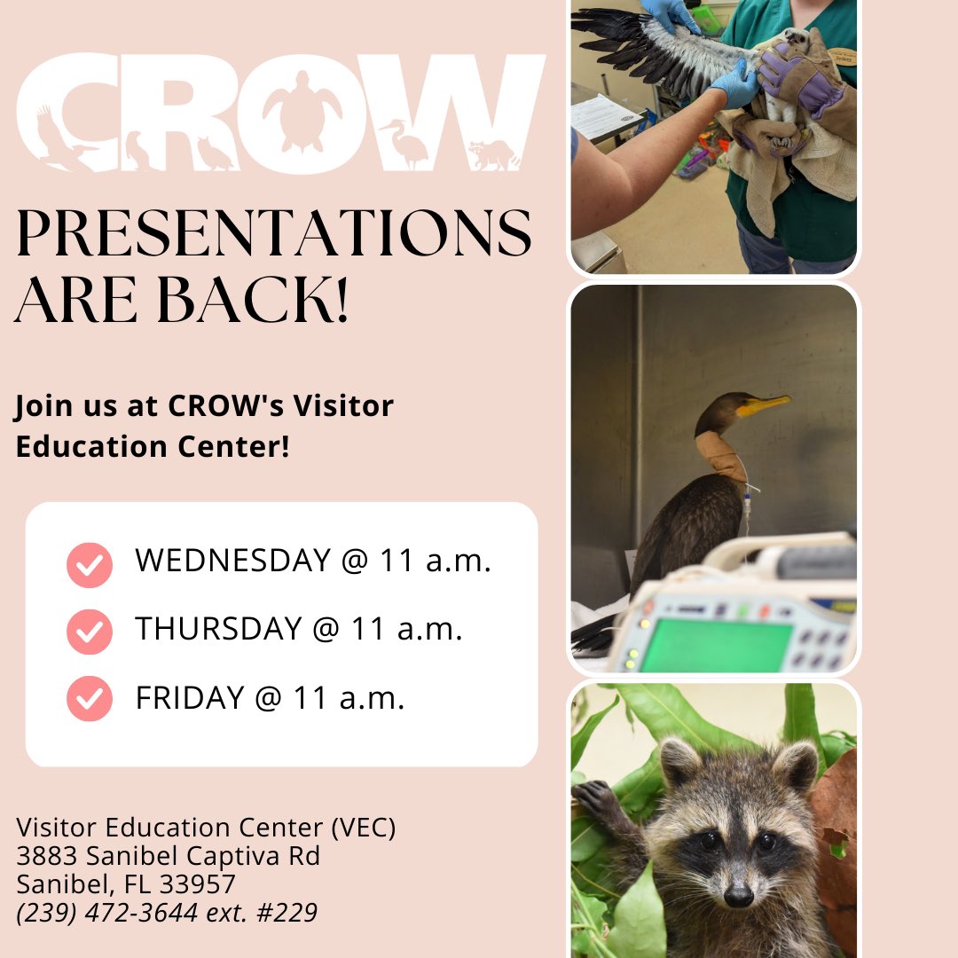 No reservations required ☺️ 

Join us today, Friday 4/7 at 11 a.m. to learn about ‘Babies at CROW’! We are thrilled to bring back educational presentations on Wednesdays, Thursdays, and Fridays at 11 a.m.! 

We can’t wait to see you!