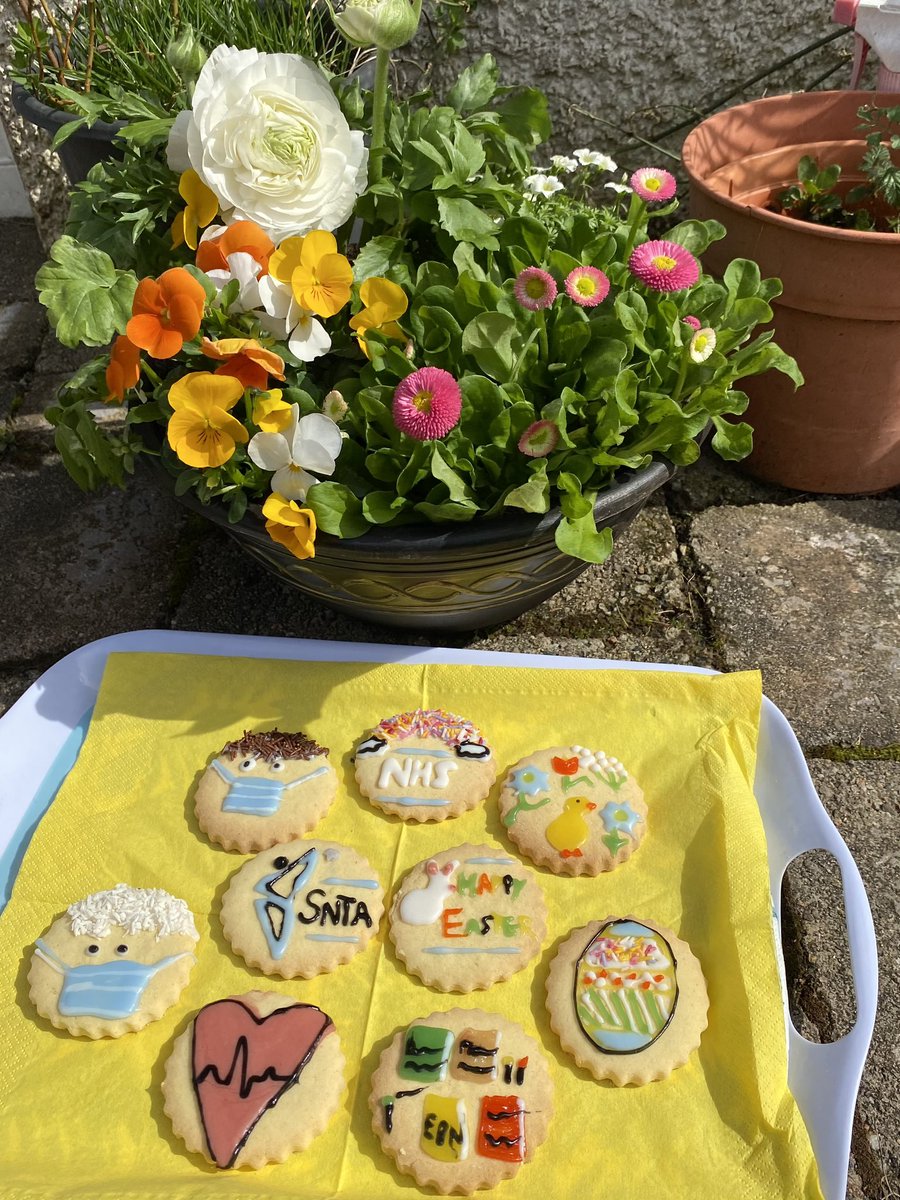 Happy Easter! Spent today at home with family baking these delicious biscuits #SNTAbiscuit let’s hope they taste as good as they look❤️🐣 @studentNT @NursingTimes