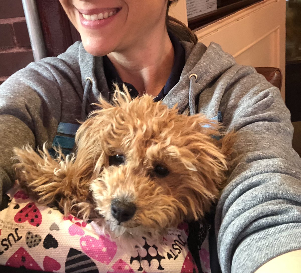 Jackie DeAngelis on Twitter "Friday suffered through six days this