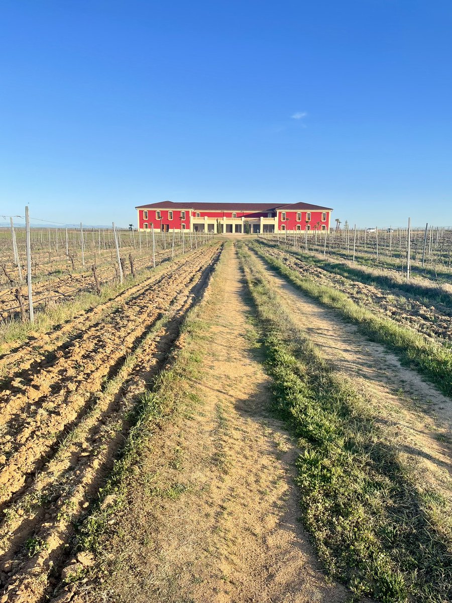 wircky's tweet photo. Un lujo conocer la finca @CARABALLAS. Su viñedo, sus vinos, y disfrutar con la pasión de Elías #medinadelcampo #villadelasferias @AyuntamientoMDC @GuzmanGomezMdC @Nadia3Medina @viajesymapas https://t.co/szxhIUDekJ