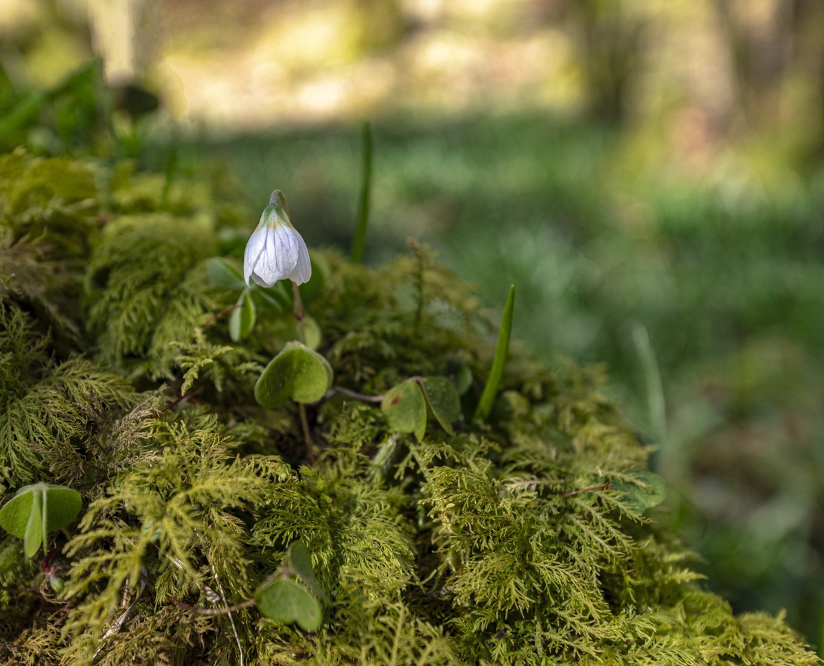 Happy Easter from Coniston.