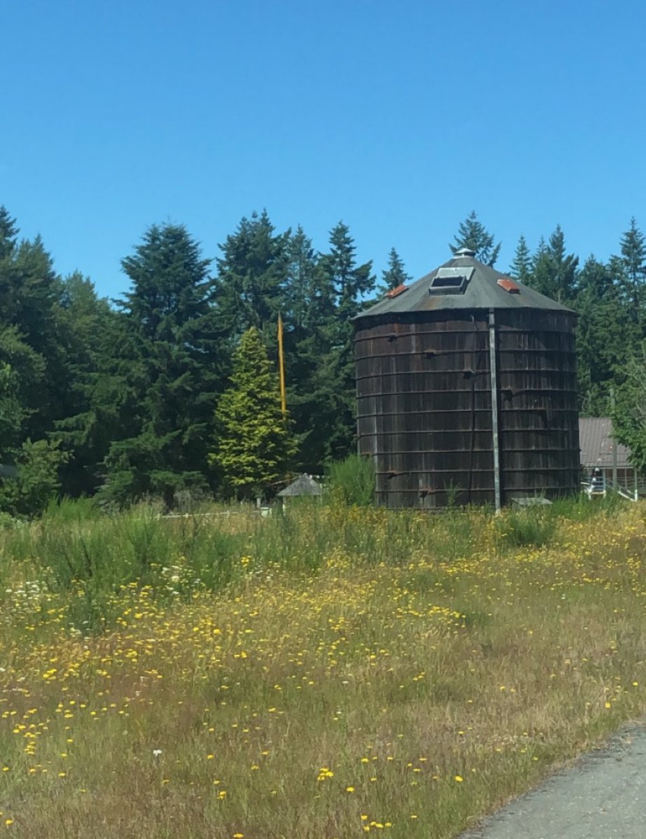 Looking forward to seeing this video and other exhibitions at Khazaana tonight. I was fortunate to have visited the Paldi Gurdwara with my family a few summers ago. The warm welcome and embrace we felt from the local sevadaars felt nothing short of family🙏🏽 #SikhHeritageMonth