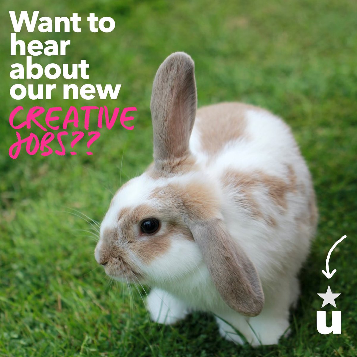 Ursus, Inc tweet media