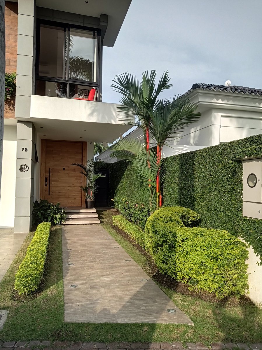 gardenservicese's tweet photo. Mantenimiento de jardines.
Contacto
0985572759
@gardenservicese 
@gardenservicesecu
#serviciodejardineriagardenservicesecu https://t.co/AshnTKOH7M