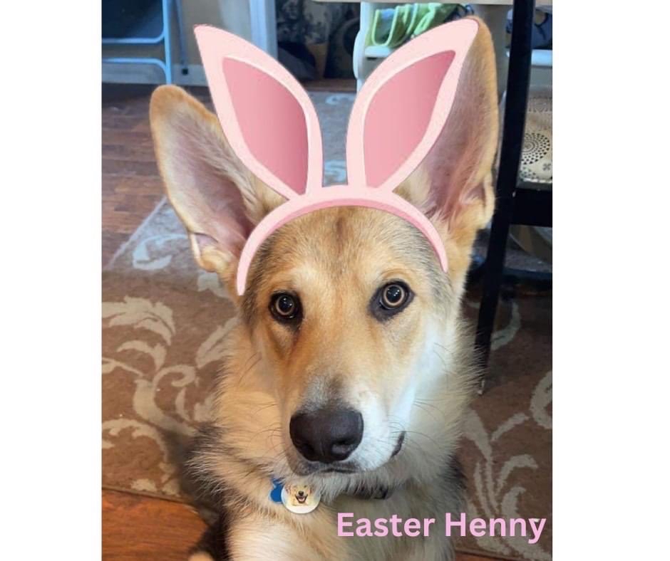 Wishes to everyone for a wonderful weekend, from the Easter Henny!