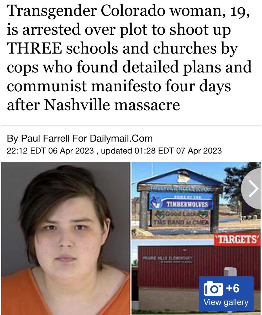 RealCandaceO's tweet photo. This week in tranny terrorism: 

#Mentalillnessawareness https://t.co/WEGRdGk9dJ
