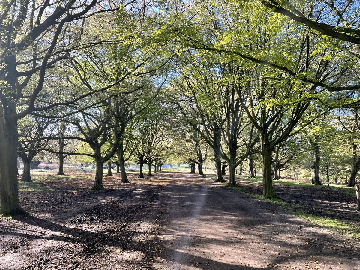 Dr Isabel Sassooon tweet media