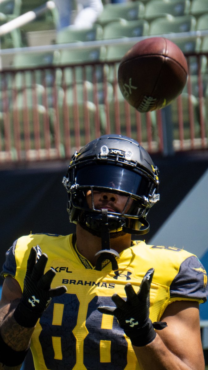 UFLBrahmas's tweet photo. If you throw an opportunity our way, we're always going to catch it... 😤

8️⃣8️⃣ TE @AlizeMack97  
8️⃣4️⃣ TE @DeonYelder 
2️⃣0️⃣ DB @TheKSiverand 

#LeagueOfOpportunity 

#XFL2023 | #HornsForward https://t.co/Ruz3AD5TMB