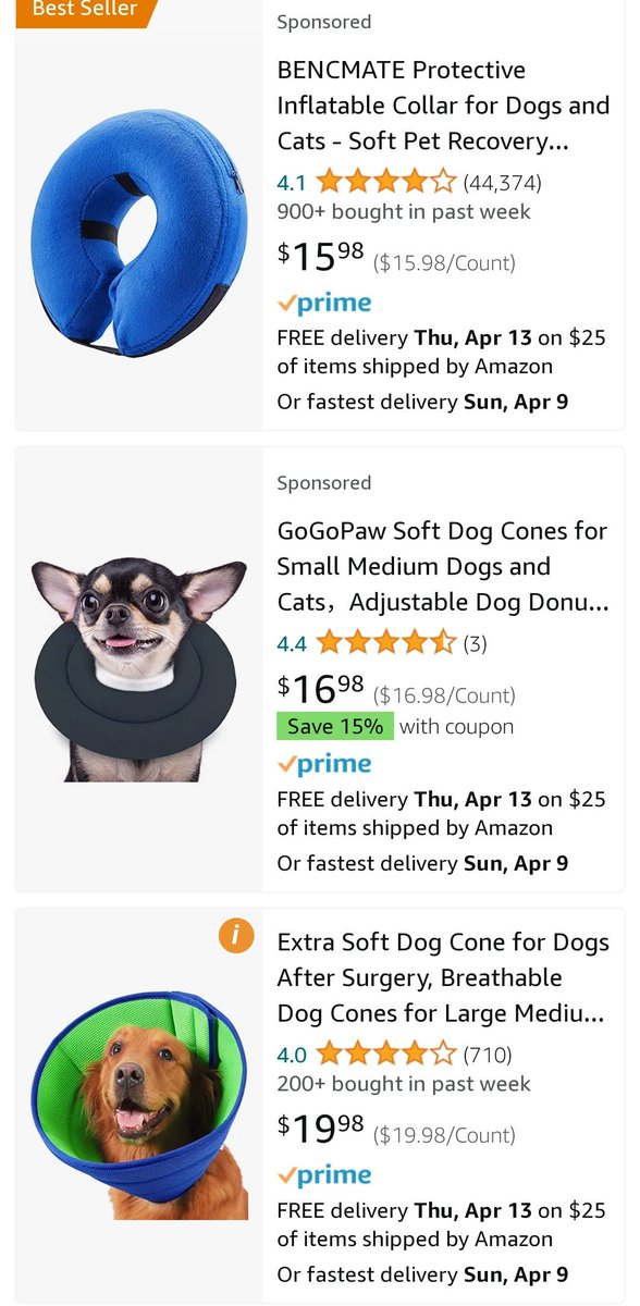 Go Lunch Team Chels tweet media