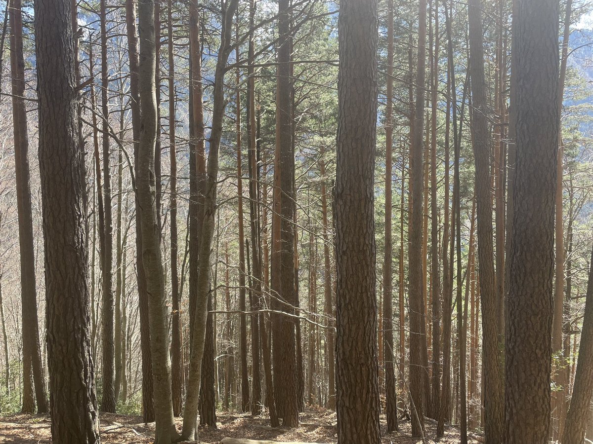 cbbenede's tweet image. Feliz 50 aniversario del #códigodebarras