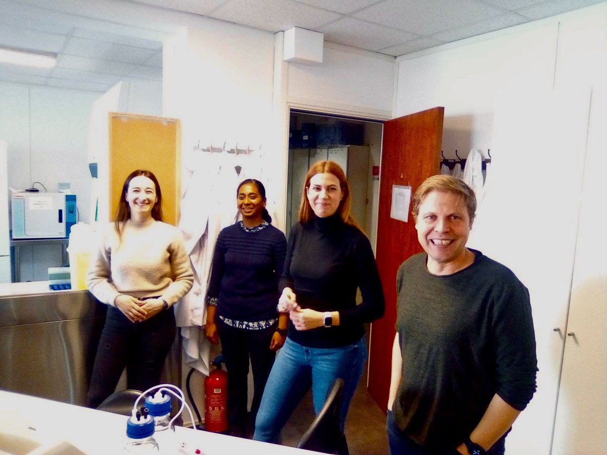 Cistem Project tweet media