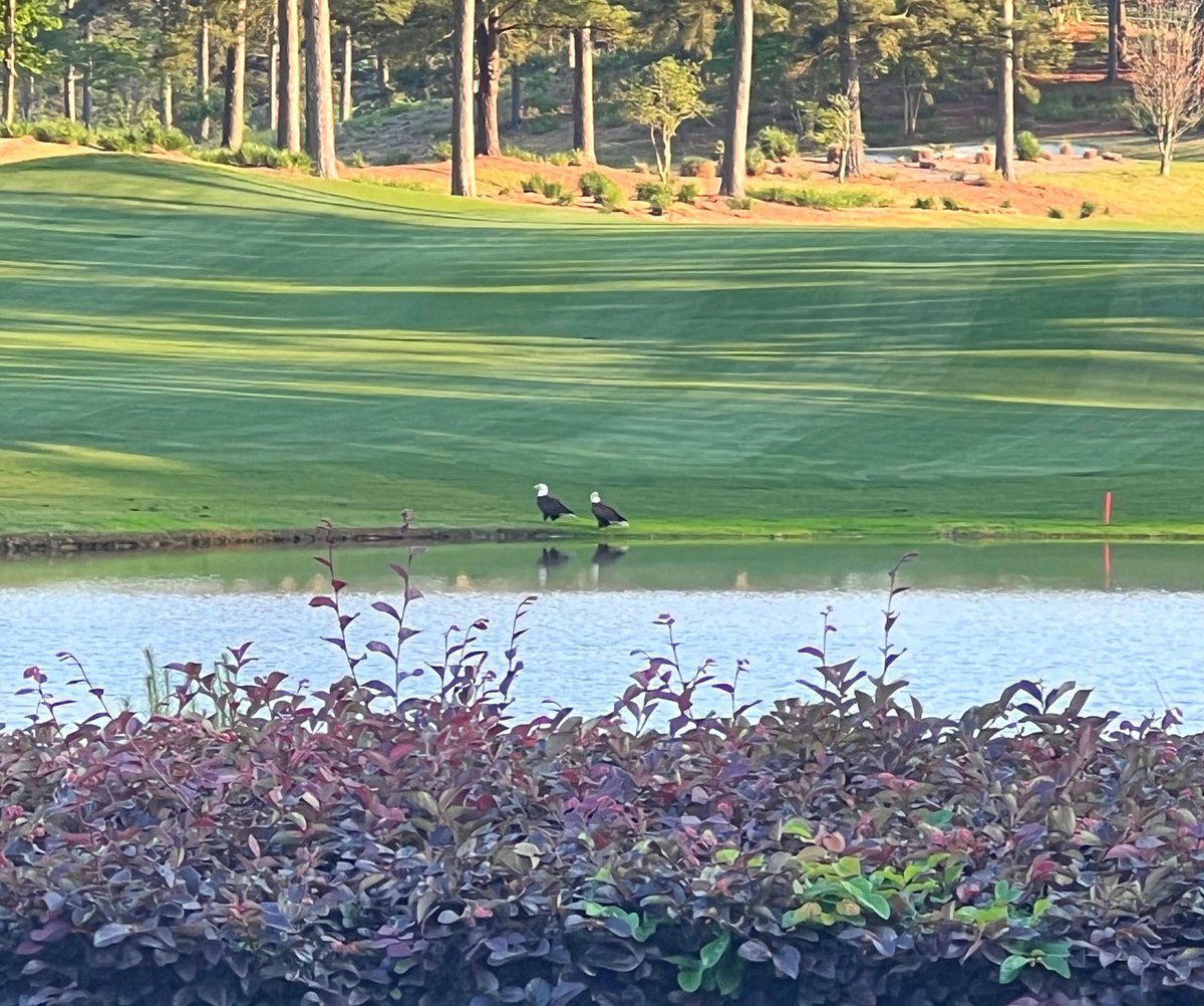 BerkeleyHall_SC's tweet photo. "On 2 North, discussing how to eagle this hole!" {thanks to Lisa Curtis for sharing with us!} #golf #BerkeleyExperience https://t.co/tIei50rlxt