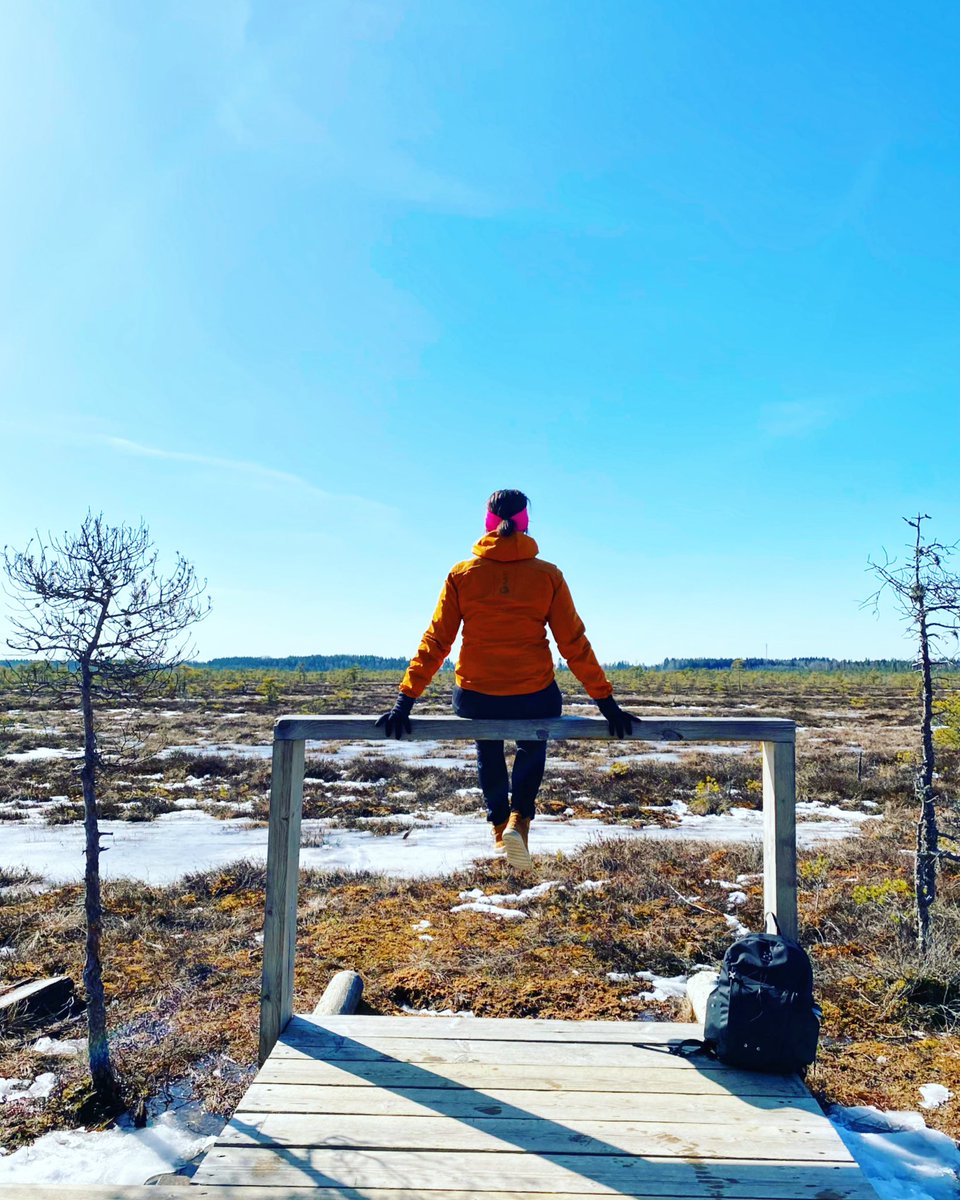 HeidiKajan's tweet photo. Suo, kuokka ja Jussi!

#Torronsuonkansallispuisto 
#kelihelli https://t.co/PoHx15bENO