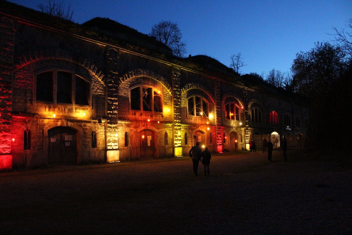 Fort de Feyzin tweet media