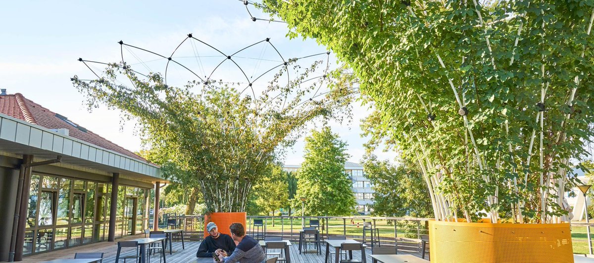 C’est le #WCID2023 ! 💡 Ça tombe bien, <a href="/Farm3Cube/">Farm3</a>, <a href="/TamanoirStudio/">Tamanoir Immersive studio</a>, <a href="/UrbanCanopee/">URBAN CANOPEE</a>, <a href="/stations_e/">stations-e</a> et ZenT de la #CinquièmePromotion, mènent des projets innovants visant à relever le défi de la transition écologique dans les domaines du patrimoine, de la culture et du tourisme. 👇